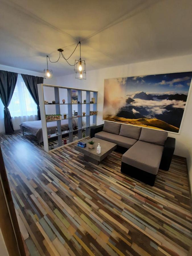 Croma Studio Petrosani Apartment Exterior photo